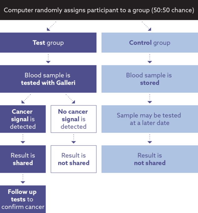 Infographic explaining who will get a test result. Most people on the trial will not get a test result. Only people in the test group who have a cancer signal detected will be given their test result.