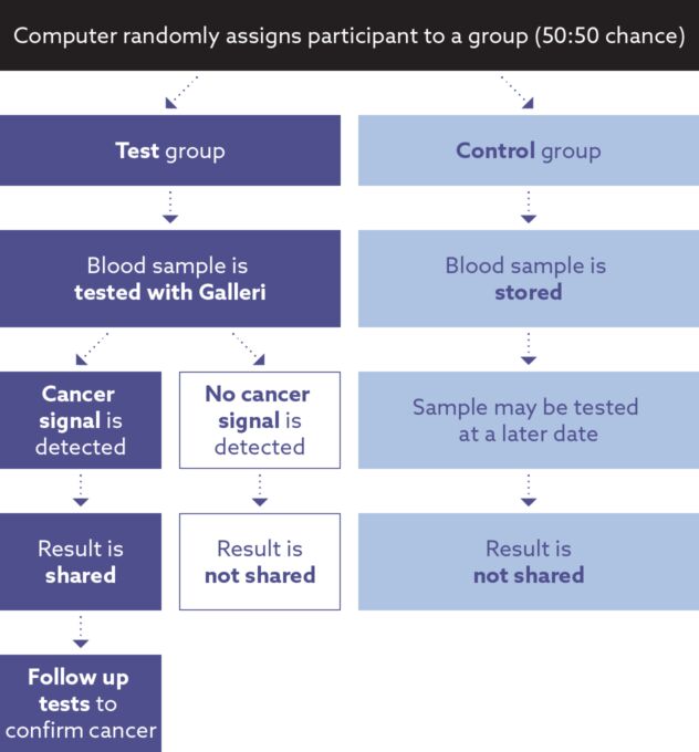 Flow chart explaining who will get a test result. Most people on the trial will not get a test result. Only people in the test group who have a cancer signal detected will be given their test result.