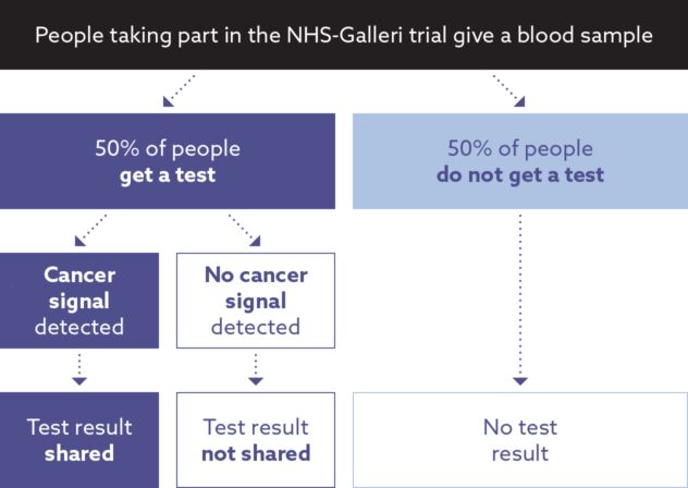 Flow chart showing that people in the test group of the NHS-Galleri trial get a Galleri test and those in the control group do not get a test. Only people in the test group who have a cancer signal detected get a test result.