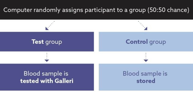 Flow chart showing that people in the test group of the trial get a Galleri test, and those in the control group have their blood sample stored.